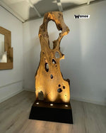 Piantana di design realizzata in sezione in legno massello di ulivo secolare con base in acciao