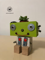 Porta Piante grasse Robot