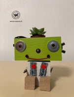 Porta Piante grasse Robot