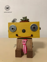 Porta Pianta Grassa Robot