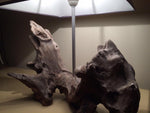 Lampada da tavolo in legno grezzo artigianale Sea-2.0