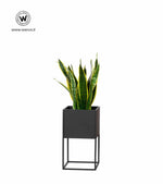 Portavaso di design realizzato in metallo di colore nero opaco