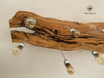 Design chandelier in centuries-old olive tree with 8 light points.