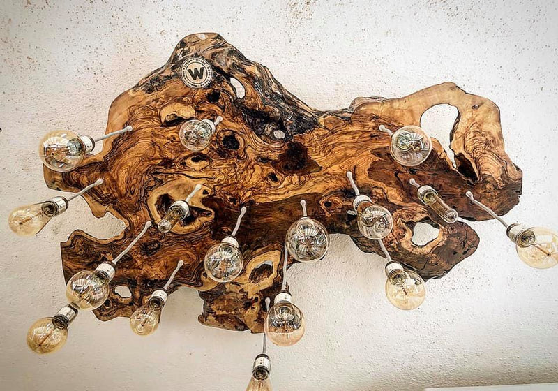 Design chandelier made of centuries-old olive root with 16 light points